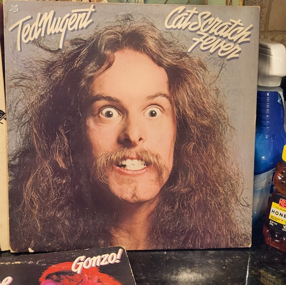 Collection of Original Ted Nugents Records - Picture 2 of 12